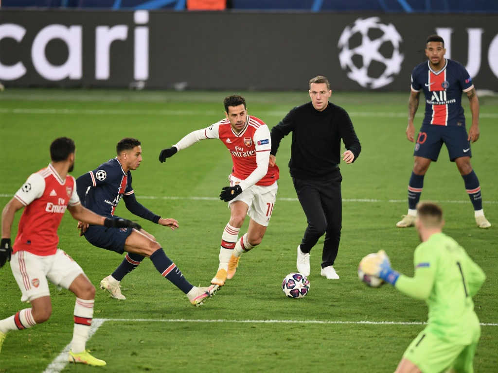 要在未来几 要在未来几