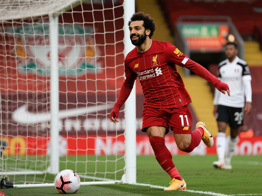 到了全面提 到了全面提